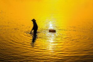 白髪染めを定期購入するなら楽天の定額サービスがおすすめなのは？