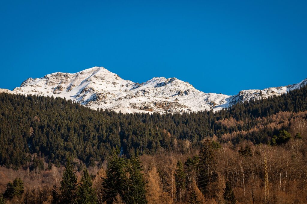 白髪染めにおける冬の乾燥対策は？
