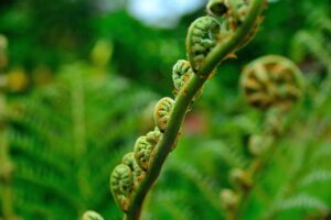 白髪染めの無添加サブスクは本当に安心できるのか？