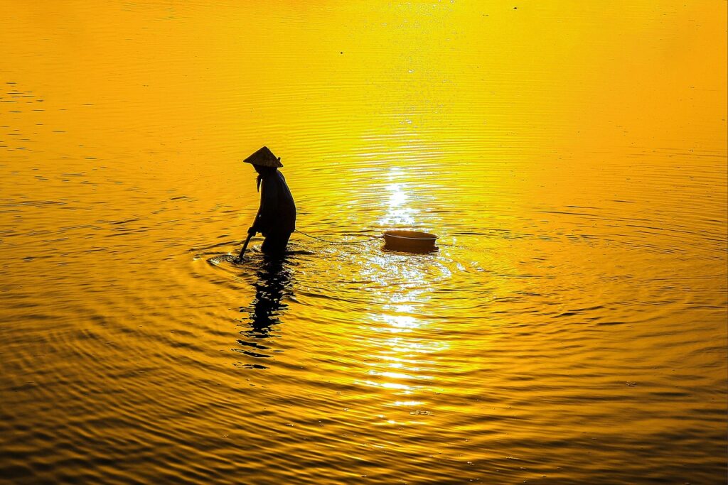 自宅で白髪染めをするためのセットを定額で手に入れる方法は？