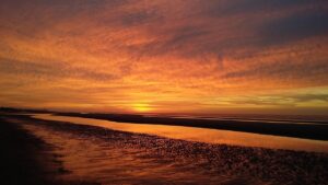 白髪染めサブスクに入会すると得られる特典は？