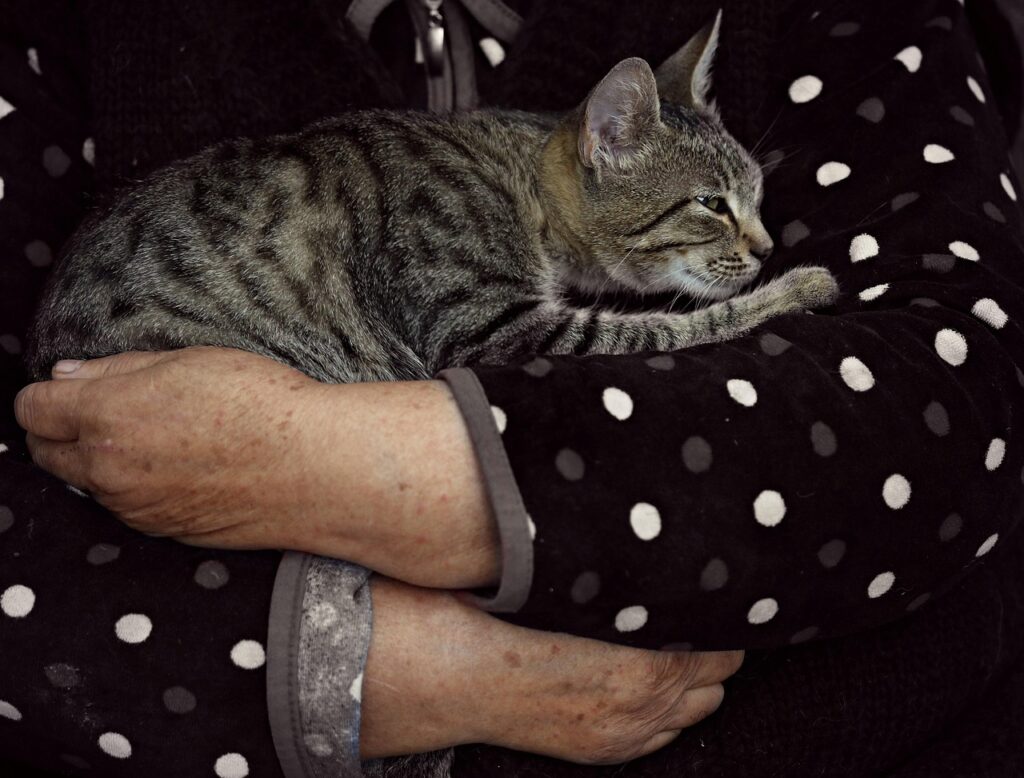 続けやすさを重視したダイエット法は何ですか？