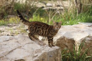 白髪ケアでよくある失敗の例とは？