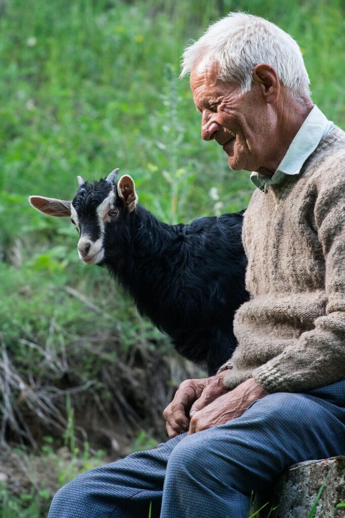 白髪ケアをサブスクで節約する方法は？