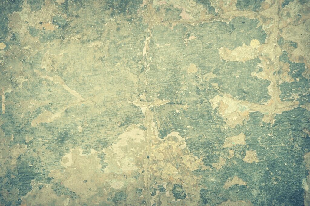 染料のサブスクを利用した初心者向けの白髪染め方法は？